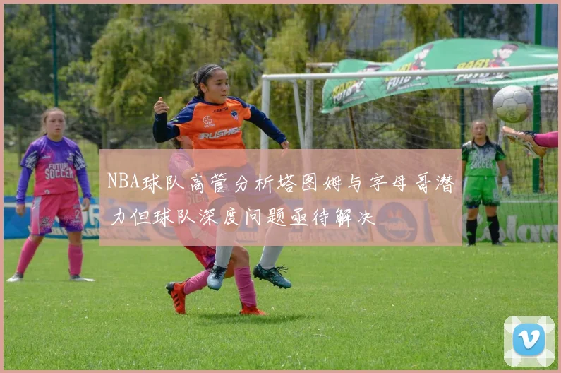 NBA球队高管分析塔图姆与字母哥潜力但球队深度问题亟待解决