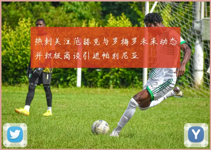热刺关注范赫克与罗梅罗未来动态并积极商谈引进帕利尼亚