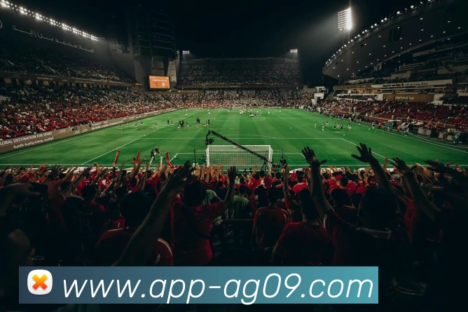 App 展示图